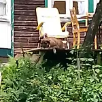 Harz&herzlich Apartamento *