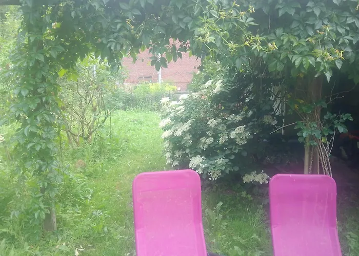 Harz&herzlich Appartement